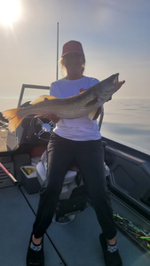 Walleye Fishing Like Never Before on Erie!